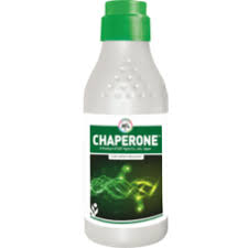 chapreone